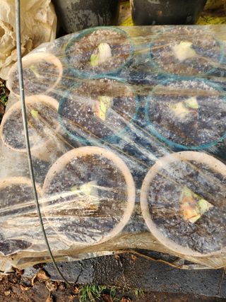 Preotu님의 기타작물 · 자유게시판 작성글 사진