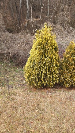 사랑은꿈님의 작성글 사진