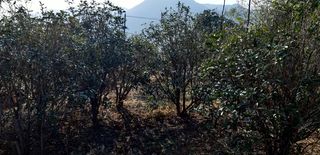 푸른오이님의 작성글 사진