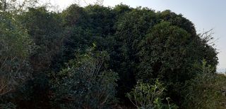 푸른오이님의 작성글 사진