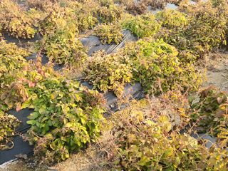 단삼님의 작성글 사진