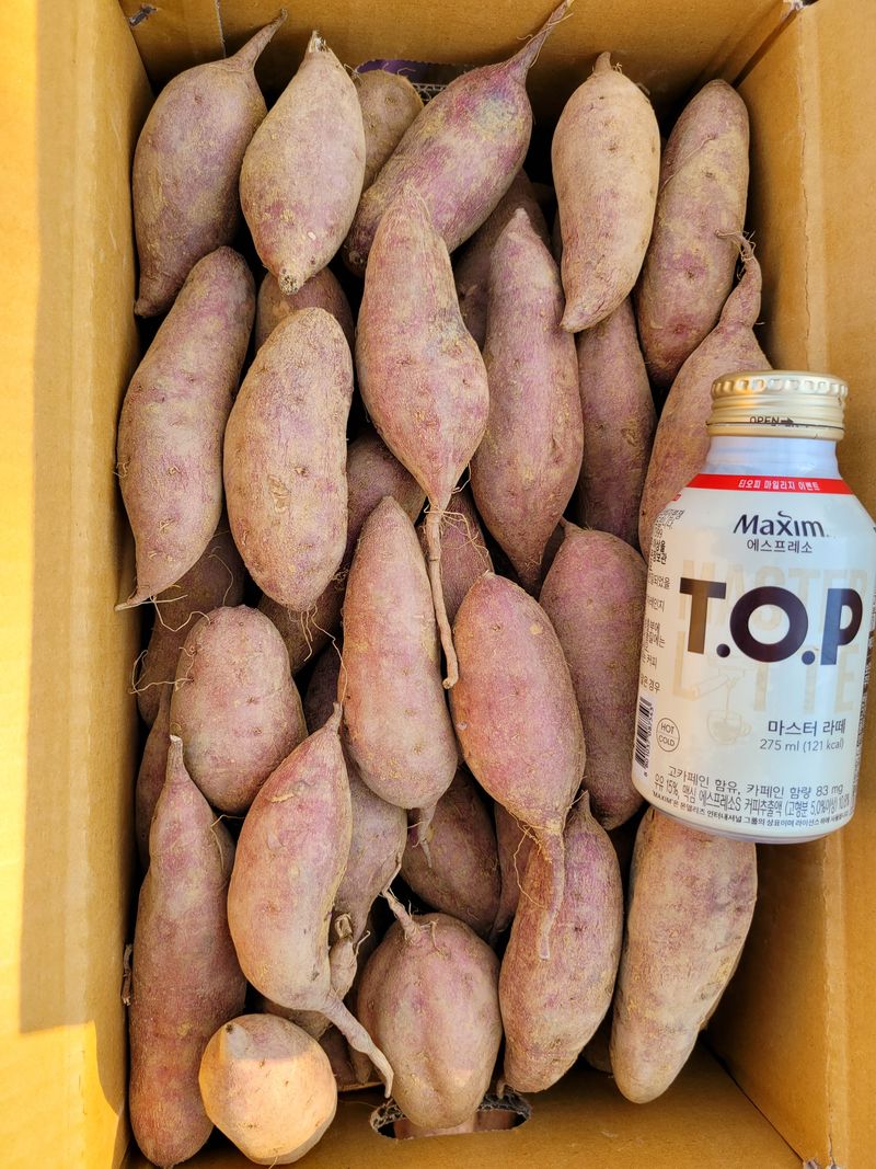 장터 상품 [호박 고구마] 썸네일