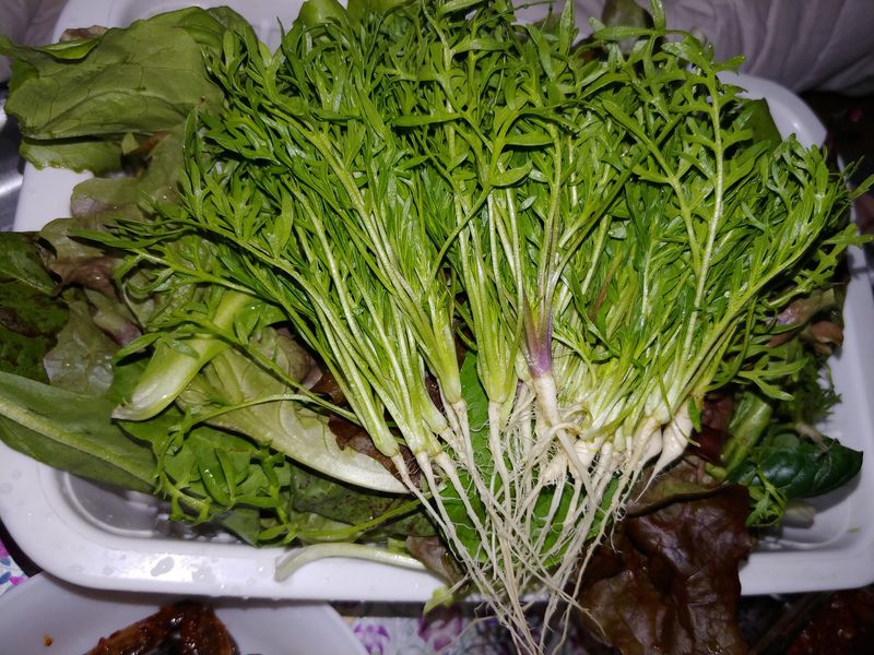 장터 상품 [쌈채소,마카포함 800g] 썸네일