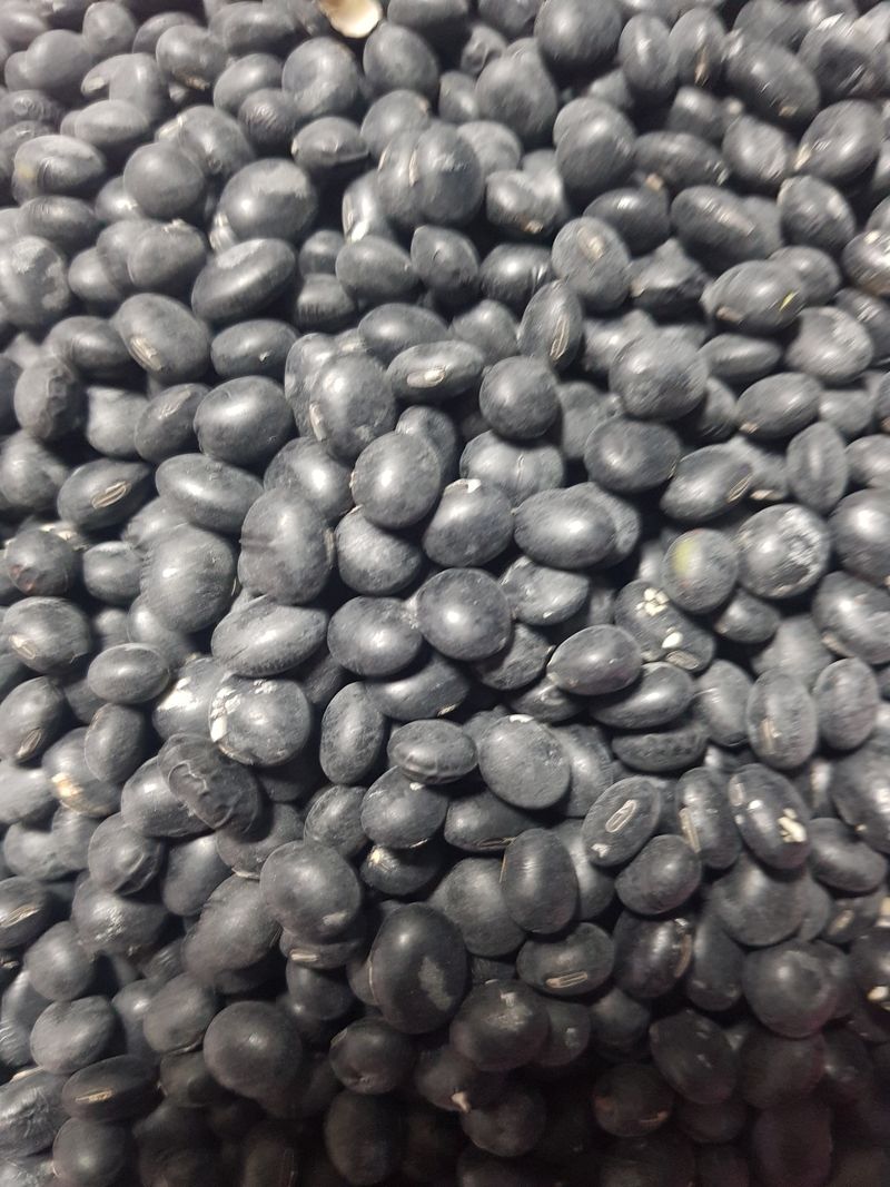 장터 상품 [서리태 1kg] 썸네일