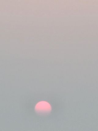 안드레아님의 기타작물 · 자유게시판 작성글 사진