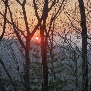 모두팜님의 기타작물 · 자유게시판 작성글 사진