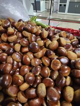 팜모닝 · 게시글 이미지