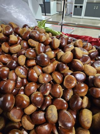 농부들의아지트님의 작성글 사진