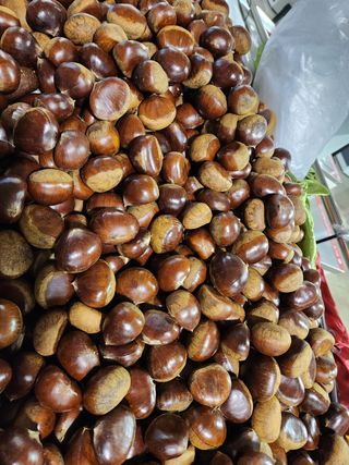 농부들의아지트님의 작성글 사진