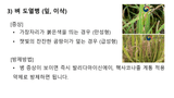 팜모닝 벼·병해충상담 게시글 이미지
