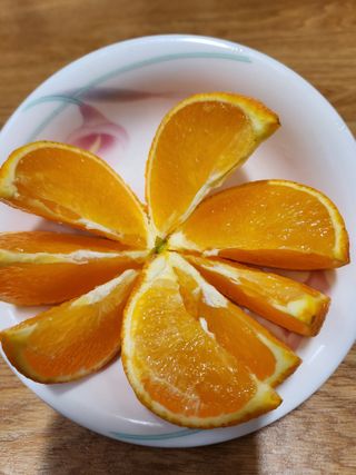 한라봉님의 작성글 사진