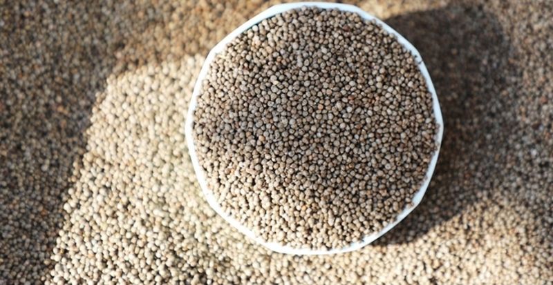 변순애님의 장터 판매 상품 [국내산 들깨  6kg(한말)] 첨부 사진