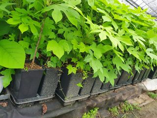 이기자농장님의 작성글 사진