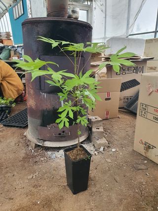 이기자농장님의 작성글 사진