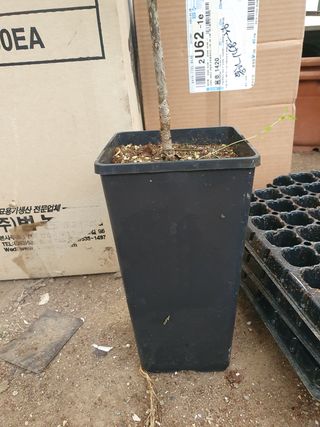 이기자농장님의 작성글 사진