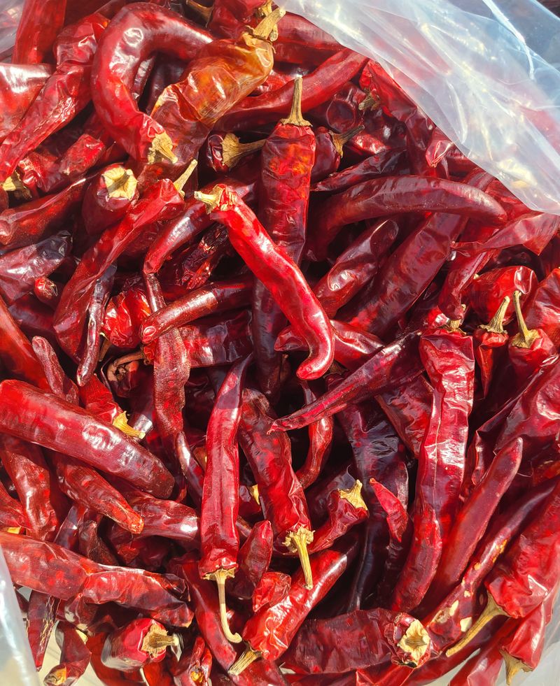 전재문님의 장터 판매 상품 [양근 고추가루  500g] 첨부 사진