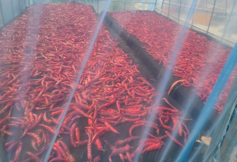 전재문님의 장터 판매 상품 [양근 고추가루  500g] 첨부 사진