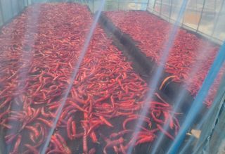 전재문님의 작성글 사진