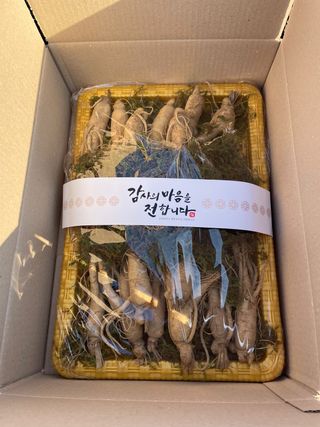 모두팜님의 기타작물 · 자유게시판 작성글 사진