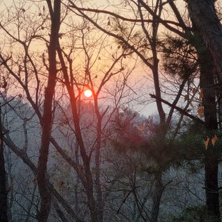 모두팜님의 기타작물 · 자유게시판 작성글 사진