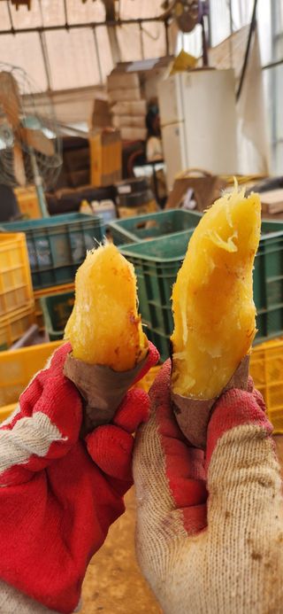 에덴농장님의 작성글 사진