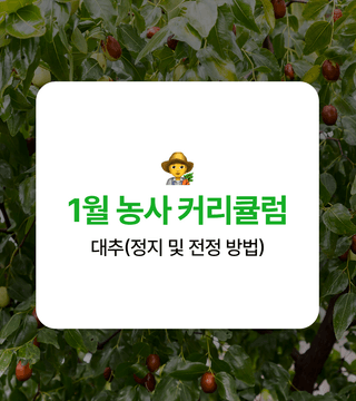 ํ๋ชจ๋ ๋์ฌ๋์ฐ๋ฏธ๋์ ๊ธฐํ์๋ฌผ ยท ๋์ฌ๊ธธ์ก์ด ์์ฑ๊ธ ์ฌ์ง