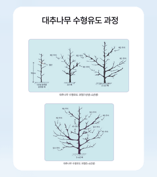 ํ๋ชจ๋ ๋์ฌ๋์ฐ๋ฏธ๋์ ๊ธฐํ์๋ฌผ ยท ๋์ฌ๊ธธ์ก์ด ์์ฑ๊ธ ์ฌ์ง