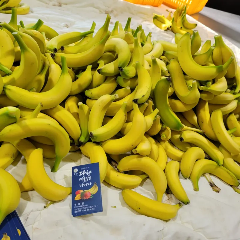 임선희님의 장터 판매 상품 [바나나(국내산:보성) 1kg] 첨부 사진