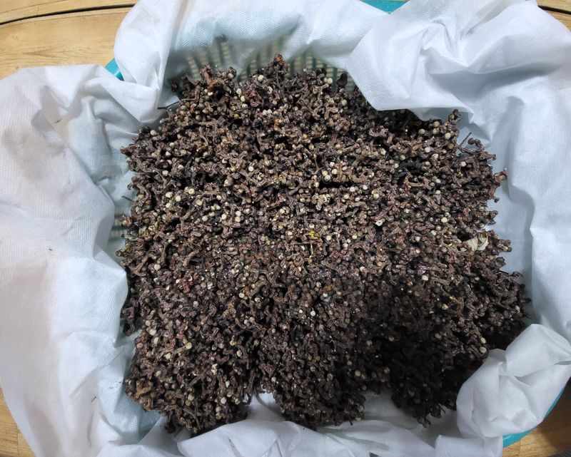 장터 상품 [헛께나무 열매 1키로] 썸네일