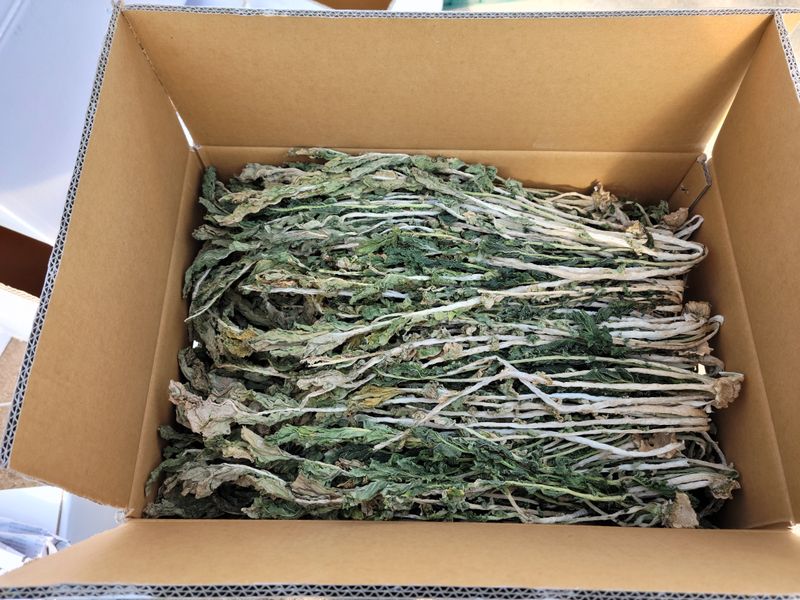 진부부락님의 장터 판매 상품 [[2022년 햇 시래기] 강원도 오대산 무청 건시래기 1kg] 첨부 사진