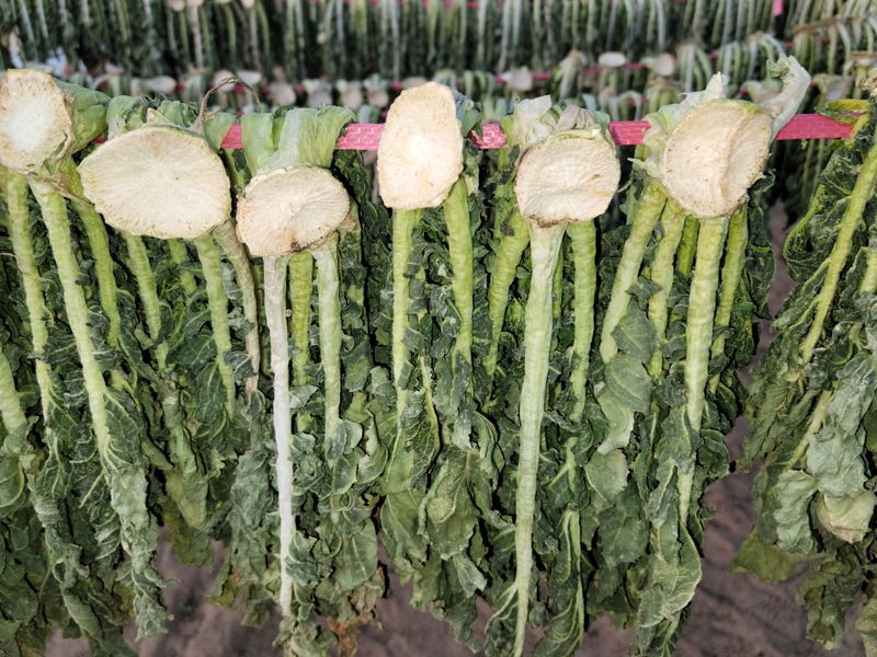 진부부락님의 장터 판매 상품 [[2022년 햇 시래기] 강원도 오대산 무청 건시래기 1kg] 첨부 사진