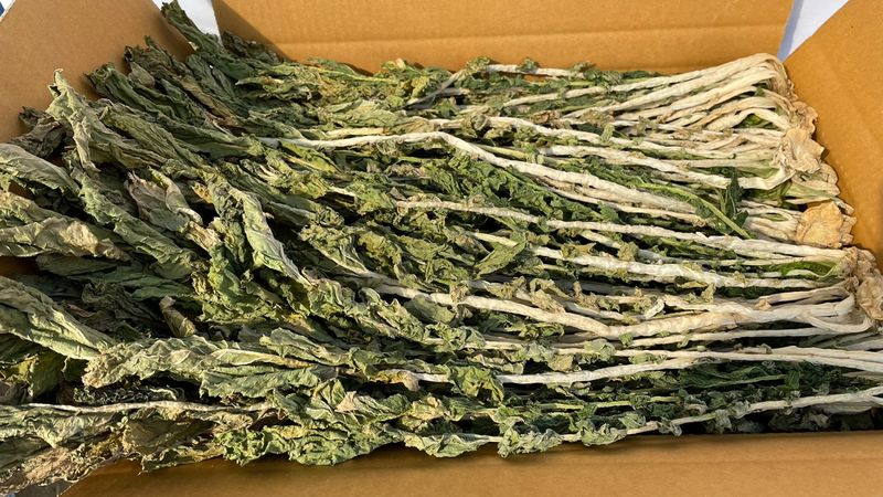 진부부락님의 장터 판매 상품 [[2022년 햇 시래기] 강원도 오대산 무청 건시래기 1kg] 첨부 사진