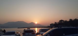 오소리와꿀벌들님의 기타작물 · 자유게시판 작성글 사진