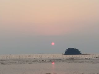 공정수님의 기타작물 · 자유게시판 작성글 사진