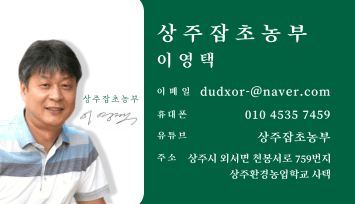 상주잡초농부 님의 장터 판매 상품 [차요테 1kg] 첨부 사진