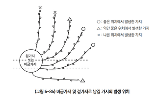 배 농사도우미님의 배 · 일상 작성글 사진