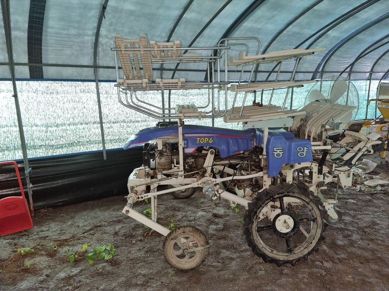 김찬수님의 장터 판매 상품 [동양 동양 TOP6 양파 정식기 6조 보행형 +파종기, 모종 포트(18000평 분량, 약 5000매)] 첨부 사진