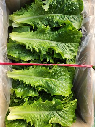 김지윤님의 작성글 사진