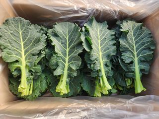 김지윤님의 작성글 사진