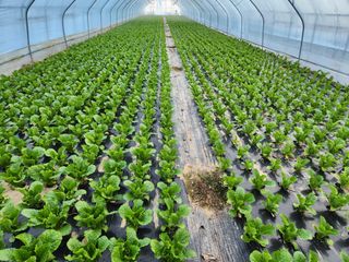 김지윤님의 작성글 사진