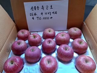 김주영님의 작성글 사진