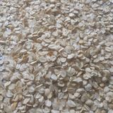 팜모닝 · 게시글 이미지