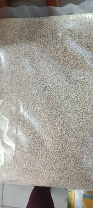 논산 농부 부인님의 작성글 사진