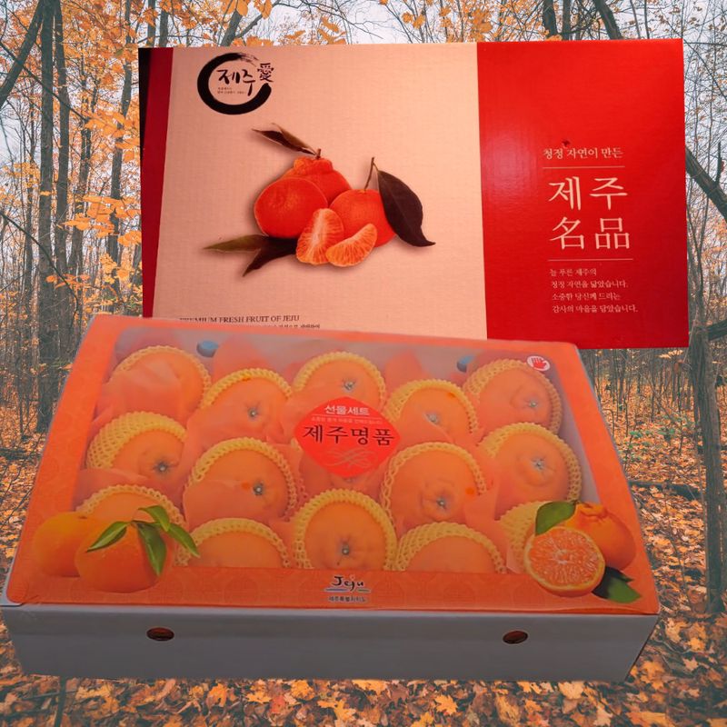 김우주님의 장터 판매 상품 [백화점 레드향 특가판매] 첨부 사진