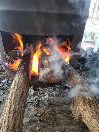 김경순님의 콩 · 자유게시판 작성글 사진