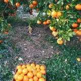 팜모닝 · 게시글 이미지