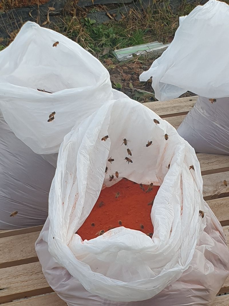 장터 상품 [고추가루  5키로] 썸네일