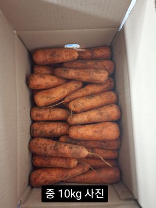 김태환님의 작성글 사진