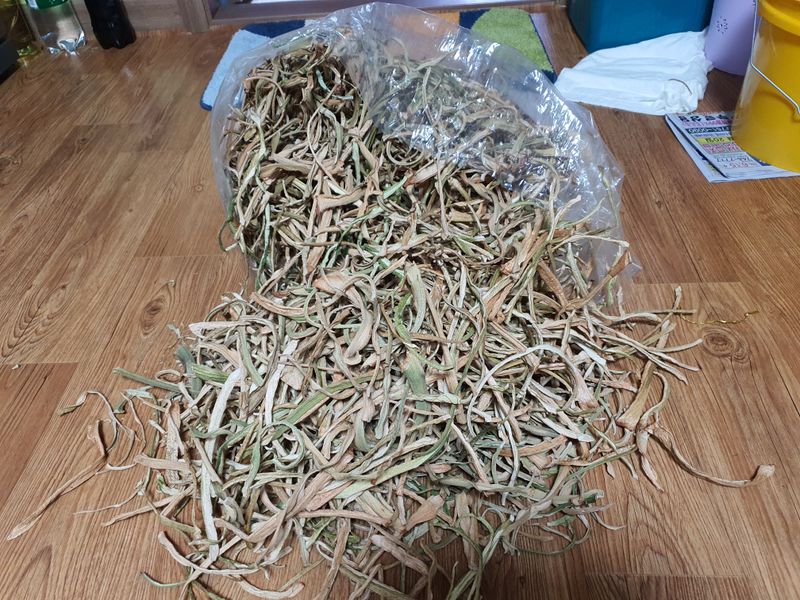 장터 상품 [건 토란대 1kg] 썸네일