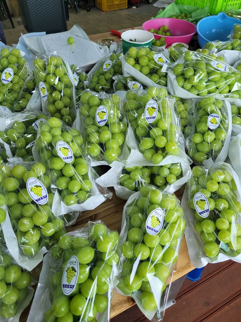 이원규님의 장터 판매 상품 [샤인머스켓2kg택배비포함16000원] 첨부 사진